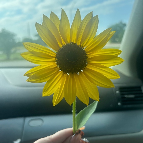 Meet your Posher, Hannah - Picture 2 of 2